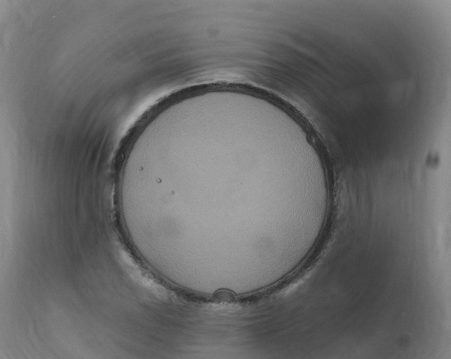 X0000111831118200908131540