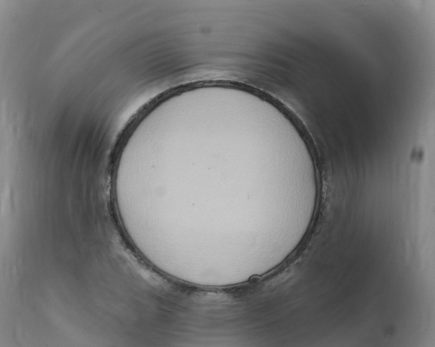 X0000111831119200908131540