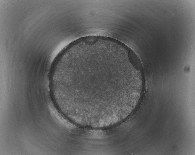 X0000111831120200908131540