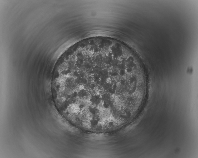 X0000111831121200908131540