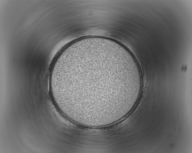 X0000111831123200908131540