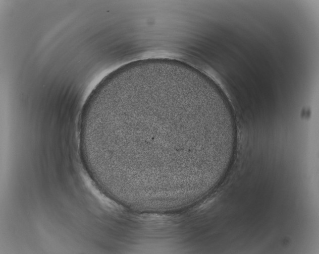 X0000111831124200908131540