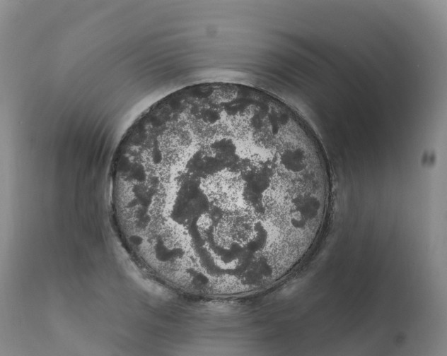 X0000111831125200908131540