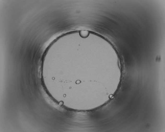 X0000111831126200908131540