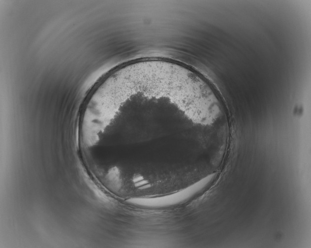 X0000111831127200908131540