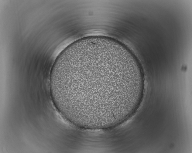 X0000111831129200908131540