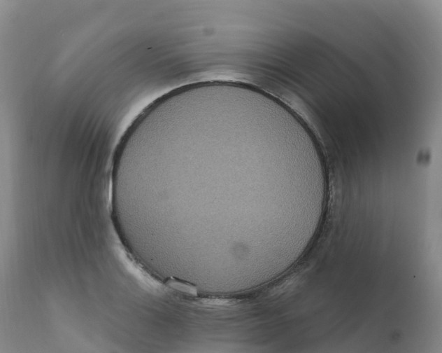 X0000111831132200908131540