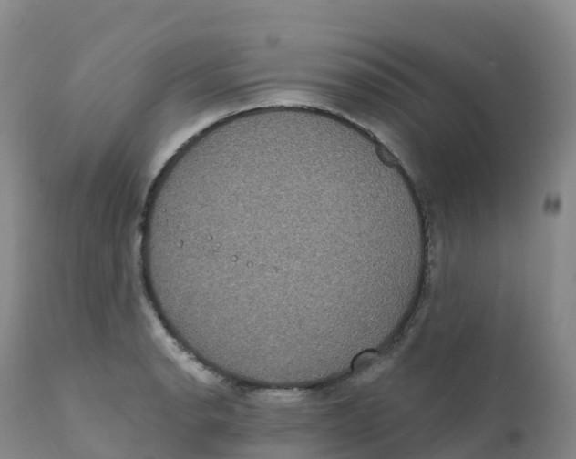 X0000111831134200908131540