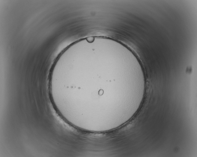 X0000111831135200908131540