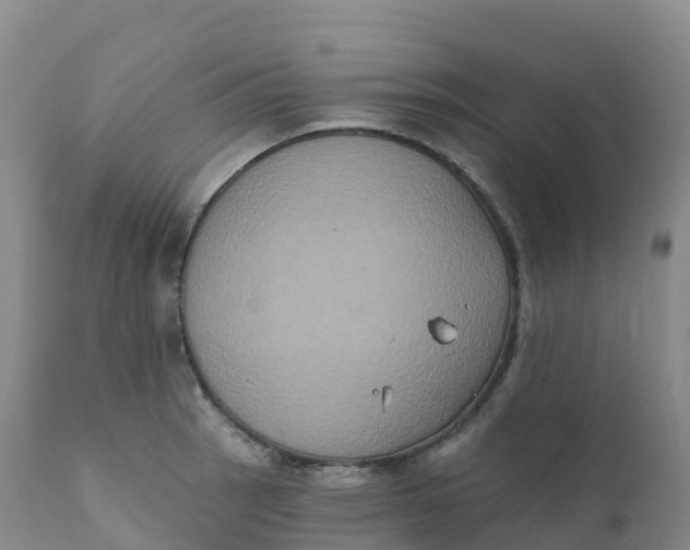 X0000111831137200908131540