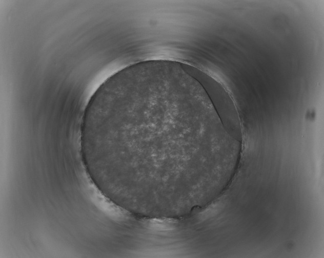 X0000111831138200908131540