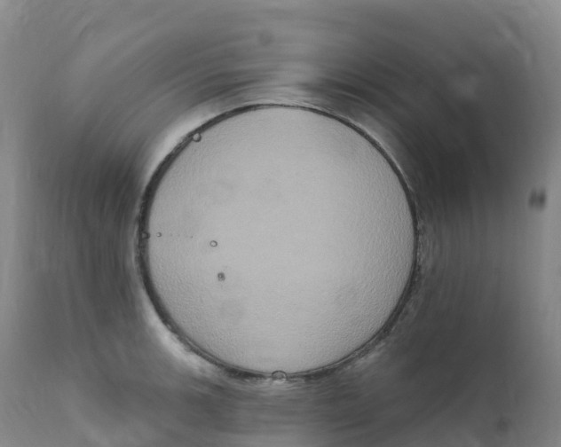 X0000111831139200908131540