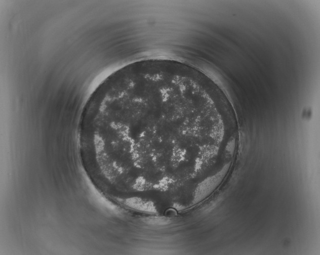 X0000111831141200908131540