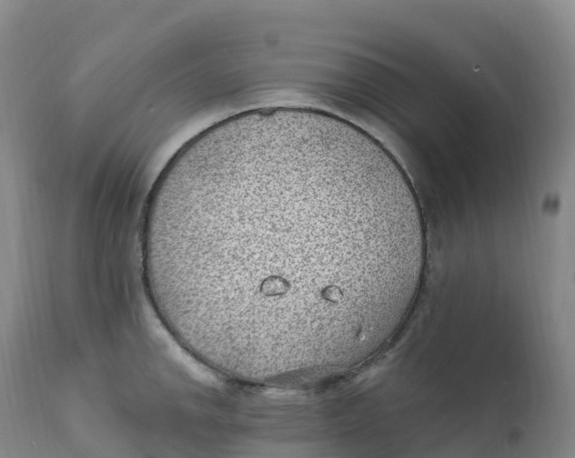 X0000111831142200908131540