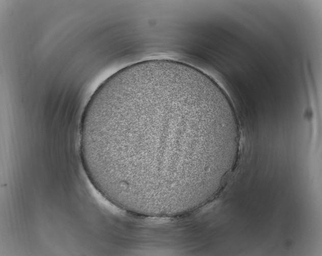 X0000111831143200908131540