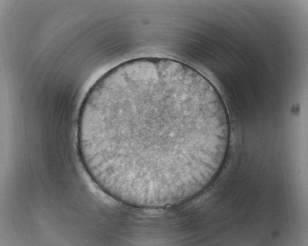 X0000111831144200908131540