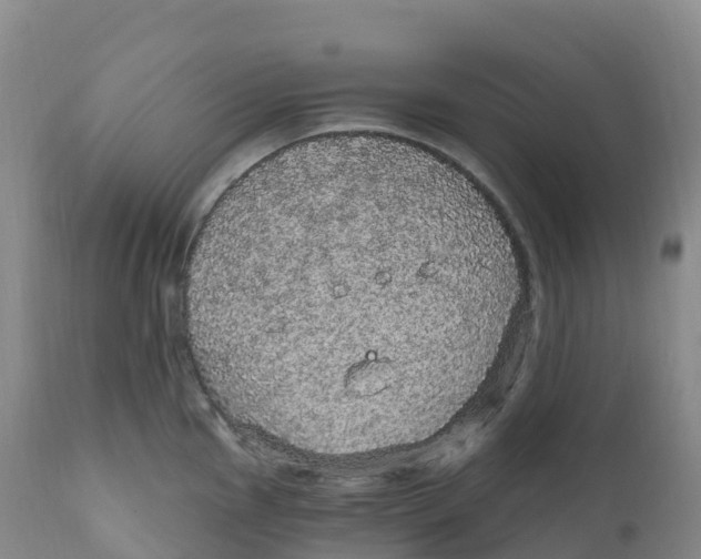 X0000111831145200908131540