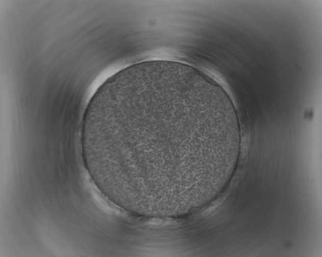 X0000111831146200908131540