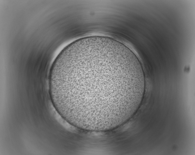 X0000111831148200908131540