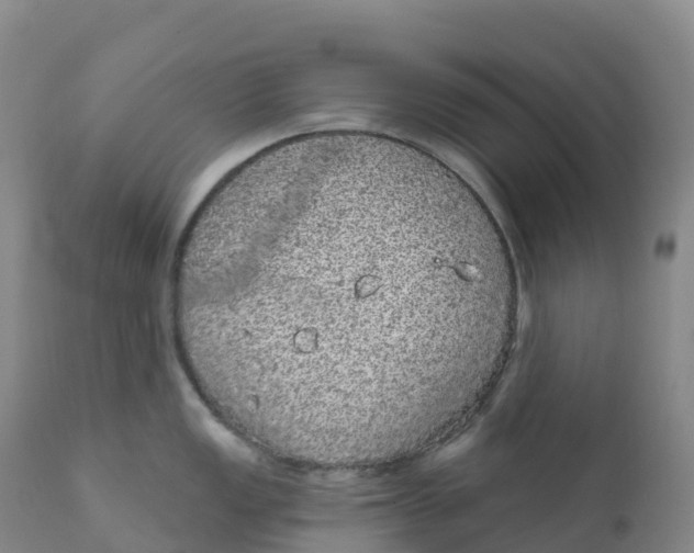 X0000111831149200908131540