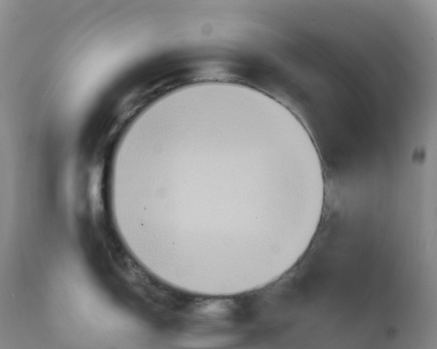 X0000111831150200908131540