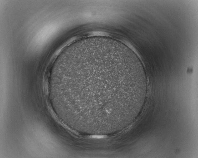 X0000111831151200908131540