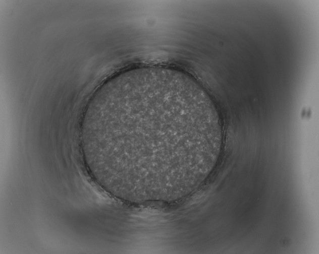 X0000111831153200908131539