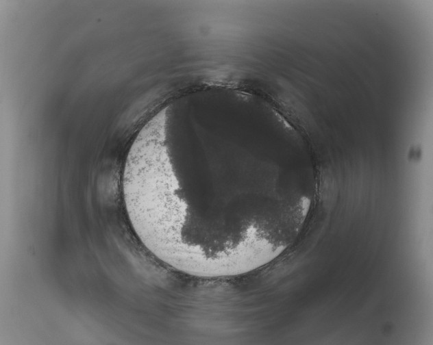 X0000111831154200908131539