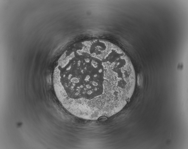 X0000111831155200908131539