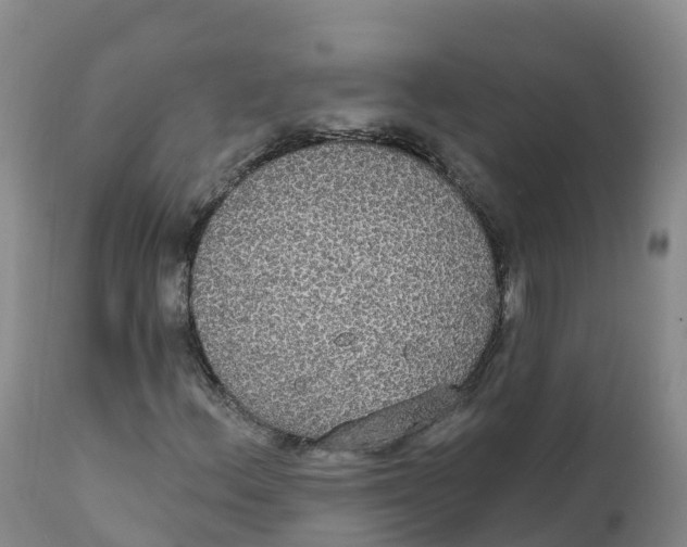 X0000111831156200908131539