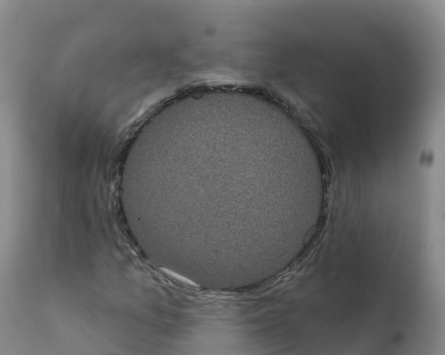 X0000111831157200908131539