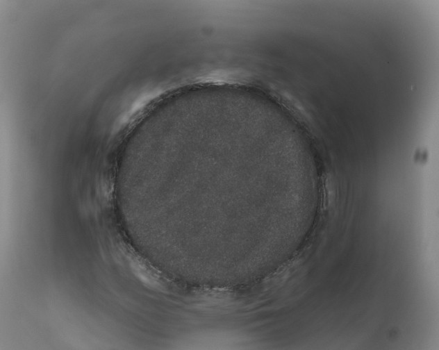 X0000111831158200908131539