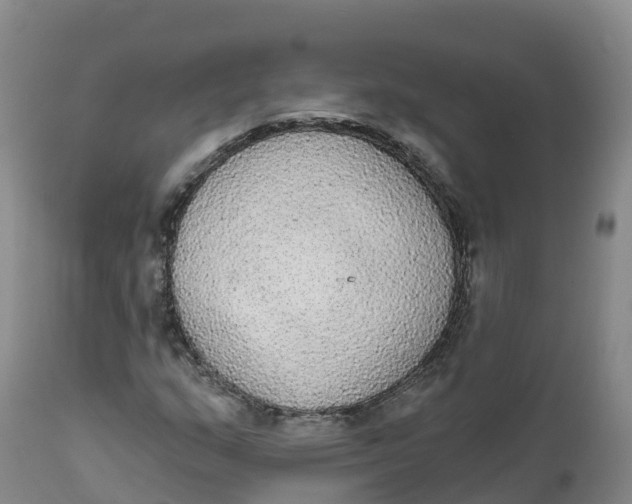 X0000111831159200908131539