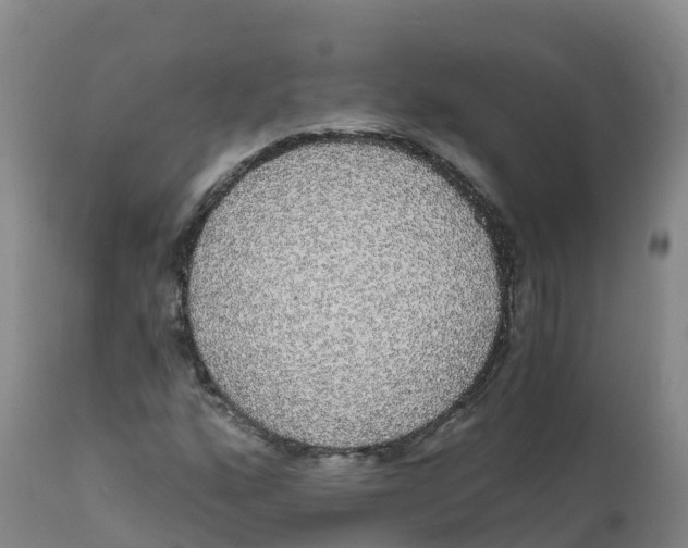 X0000111831160200908131539