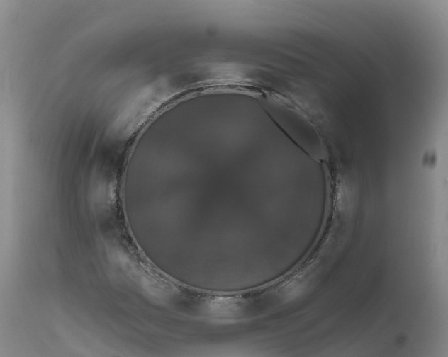 X0000111831161200908131539