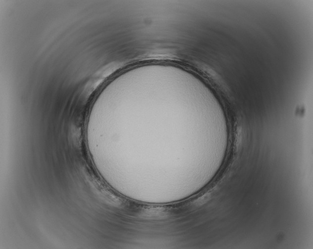 X0000111831162200908131539