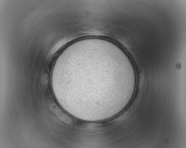 X0000111831163200908131539