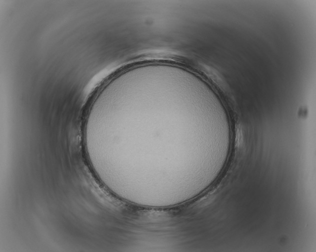 X0000111831164200908131539