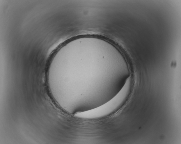 X0000111831165200908131539