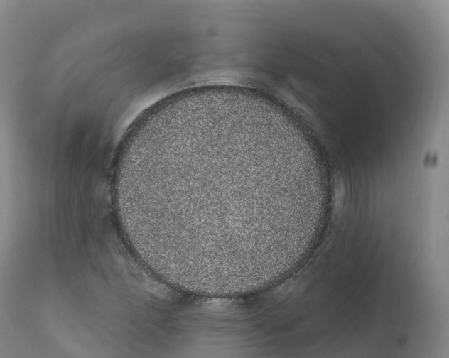 X0000111831166200908131539