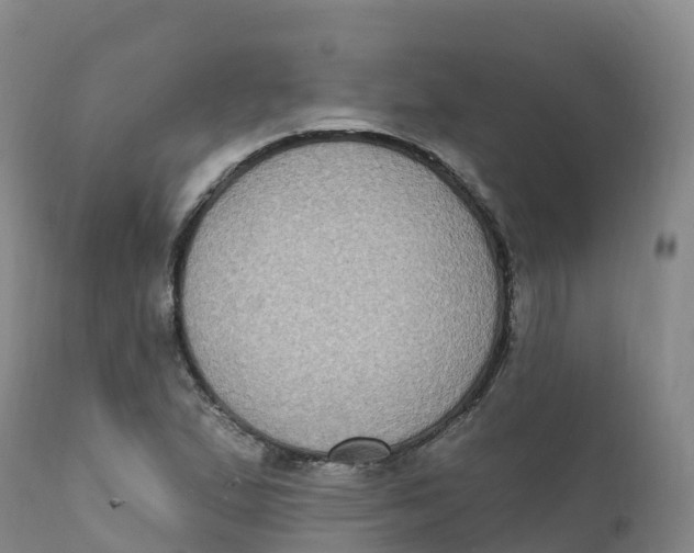 X0000111831167200908131539