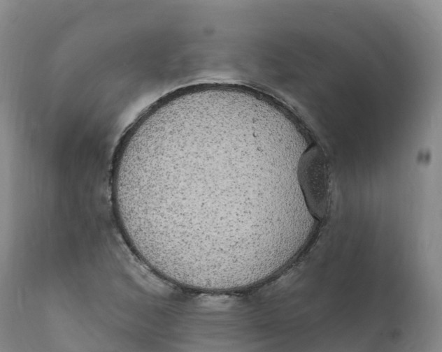 X0000111831168200908131539