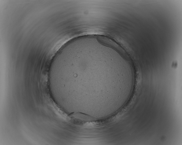 X0000111831169200908131539