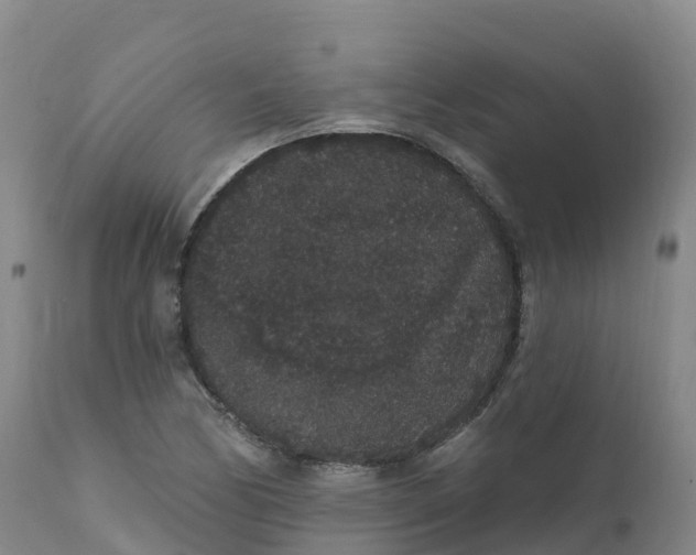 X0000111831170200908131539