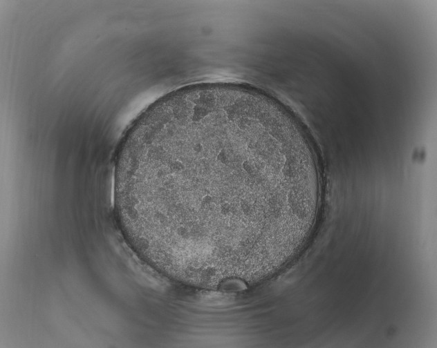 X0000111831171200908131539