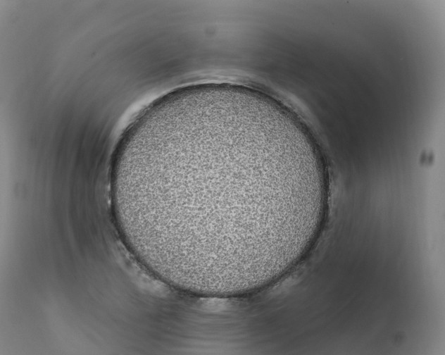 X0000111831172200908131539