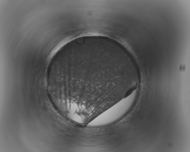 X0000111831173200908131539