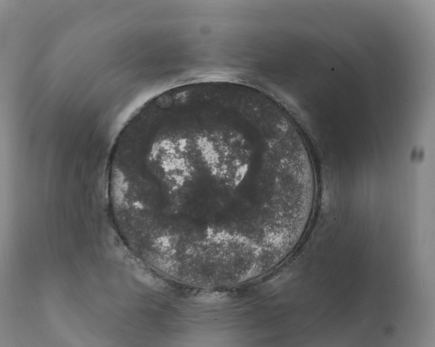 X0000111831174200908131539