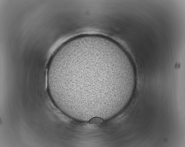 X0000111831175200908131539