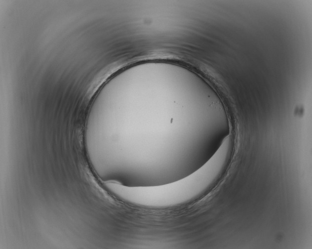 X0000111831177200908131539